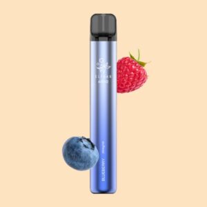ELFBAR 600 V2 Einweg E-Zigarette 20 mg/ml Nikotin 600 Züge - Blueberry