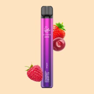 ELFBAR 600 V2 Einweg E-Zigarette 20 mg/ml Nikotin 600 Züge - Strawberry Raspberry Cherry Ice