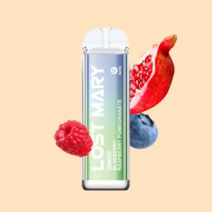 Lost Mary QM600 Elfbar Einweg E-Zigarette 20 mg/ml Nikotin 600 Züge - Blueberry Raspberry Pomegranate