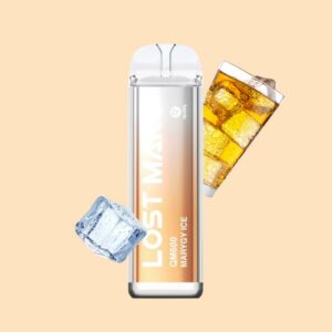 Lost Mary QM600 Elfbar Einweg E-Zigarette 20 mg/ml Nikotin 600 Züge - Marygy Ice