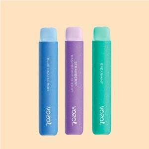 Vozol Star 600 Einweg E-Zigarette 20 mg/ml Nikotin 600 Züge